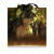 物品图标 惶然的贝壳.png