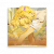 物品图标 春日轻步至.png