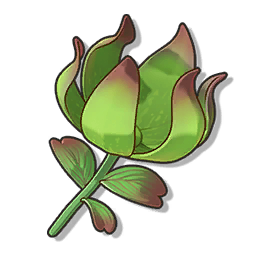 物品图标 喵喵草.png