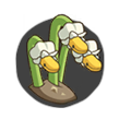花怨鳗