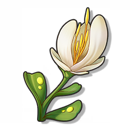 物品图标 藻羽花.png