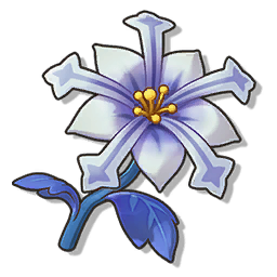 物品图标 星霜花.png