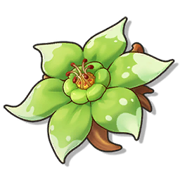 物品图标 花星角.png