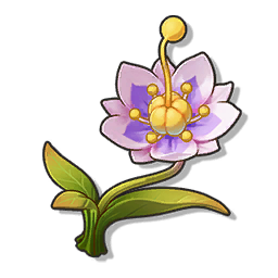 物品图标 海桑花.png