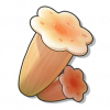 物品图标 蜜黄菌.png