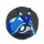 精灵 头像 星尘虫.png
