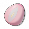 Egg xijiaoniao2.png