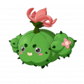 蹦蹦草（短毛球形态）