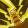 Feature 200169.png