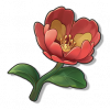 物品图标 海神花.png