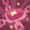 Feature 200182.png