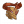 Head 3269.png