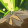 Feature 200256.png
