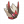 Head 3179.png