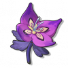物品图标 紫雀花.png