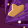 Feature 200089.png