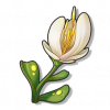 物品图标 藻羽花.png