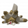 JL shiboluo.png