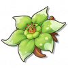 物品图标 花星角.png
