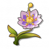 物品图标 海桑花.png