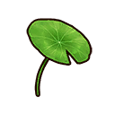 ハスの葉 i 5.png