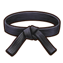 必殺の黒帯 i r.png