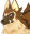 ガルル mf 5.png