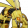 スズメバチ mf r.png