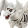 ドラゴンマミー mf 5.png