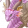 レーヴァディア mf 5.png