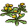 春の小花 i r.png