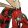 ヒバチ mf r.png