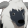 モウギュウ mf r.png