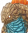 ドラゴンゴーレム mf 5.png