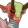 赤弓鬼 mf r.png