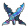雪極狼牙 i r.png