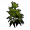 Clone.hemp.png