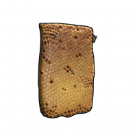 Nucleus.png