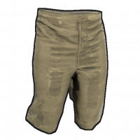 Pants.shorts.png