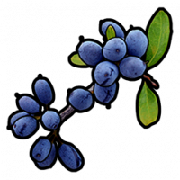 Blue.berry.png