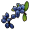 Blue.berry.png