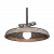 Ceilinglight.png