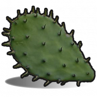 Cactusflesh.png