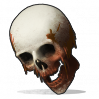 Skull.human.png