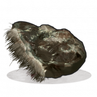 Bearmeat.spoiled.png
