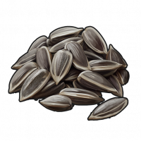 Seed.sunflower.png