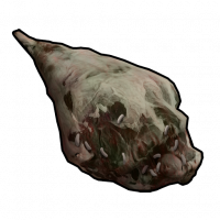 Horsemeat.spoiled.png