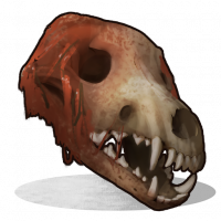 Skull.wolf.png