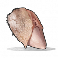 Chicken.raw.png