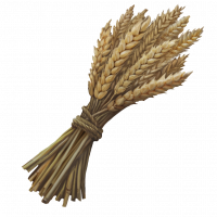 Wheat.png